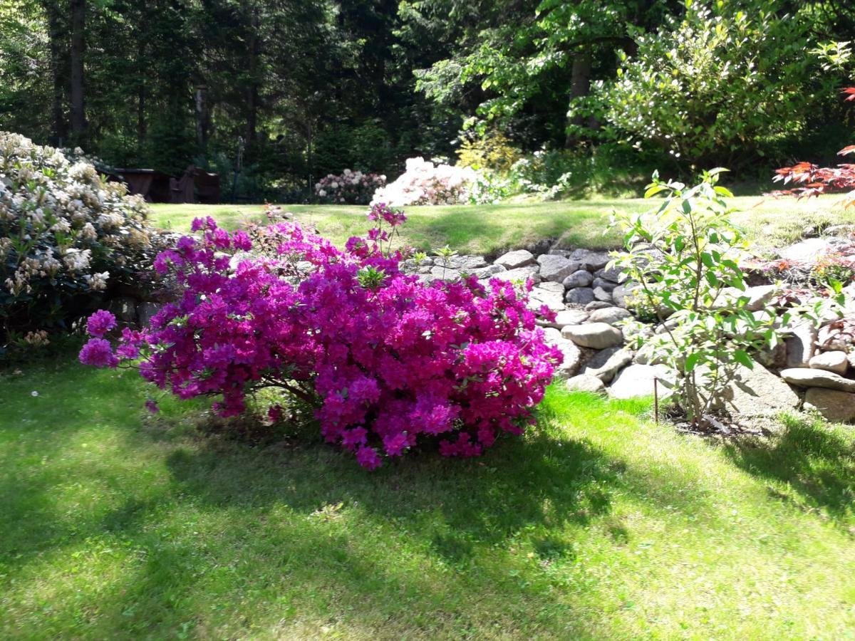 Homestay Malinka Karpacz